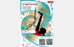 Gala de natation artistique