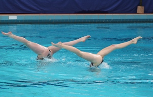 La natation artistique recrute